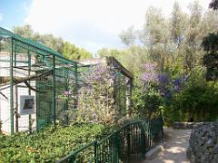 183 D21 SANARY SUR MER 1_000054